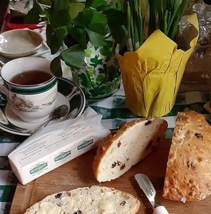 Meet your Posher, Pamela